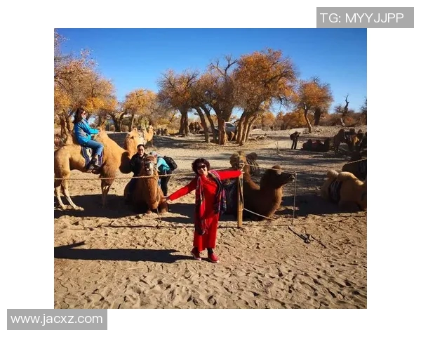 弗格的传奇人生与不朽精神探寻之旅 弗格的传奇人生与不朽精神探寻之旅